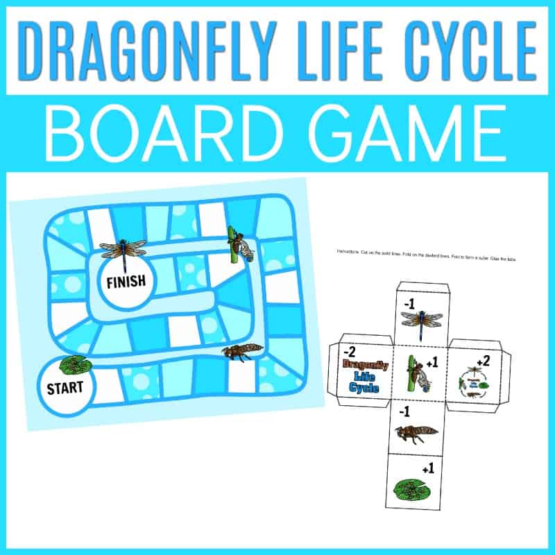 Dragonfly Life Cycle for Kids