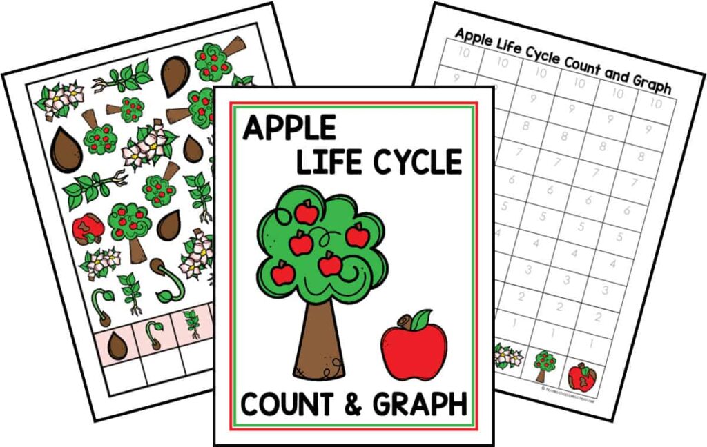 Life Cycle Count and Graph Bundle