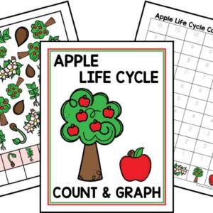 Pirate Count and Graph – Homeschool Preschool Shop