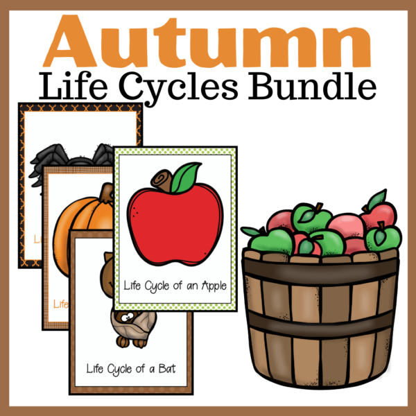 Autumn Life Cycle Worksheets
