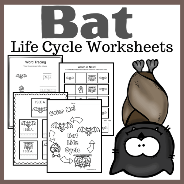 Bat Life Cycle Worksheets