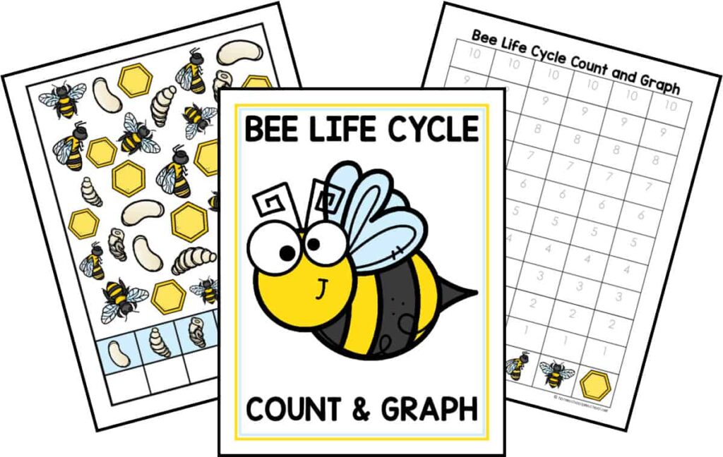 Life Cycle Count and Graph Bundle