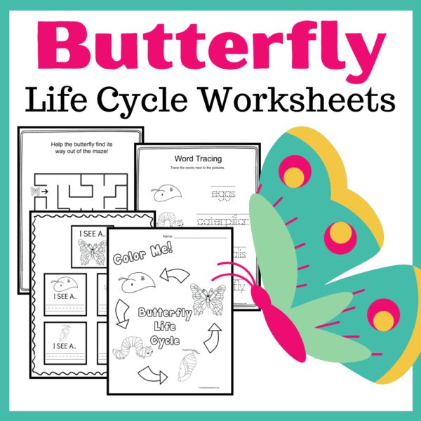 Life Cycle of a Butterfly for Kids