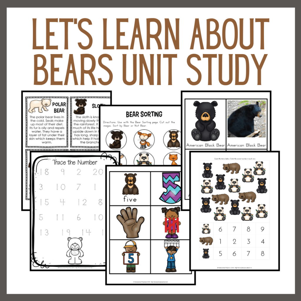 Let's Learn About Bears Preschool Unit Study