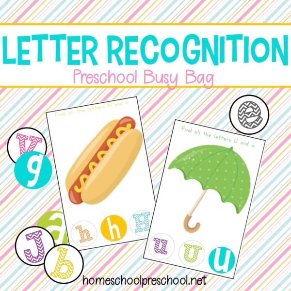 Letter Recognition Preschool Busy Bag