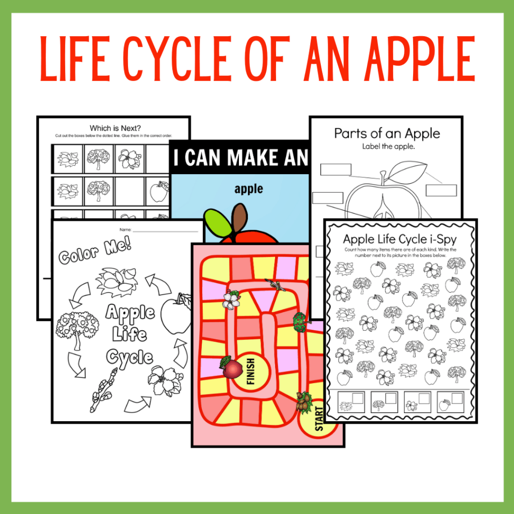 Apple Life Cycle Printable