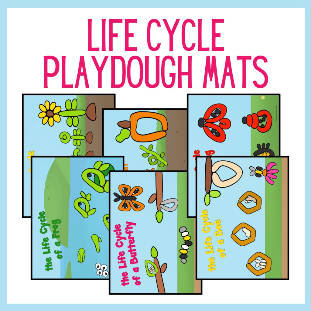 Life Cycle Playdough Mats