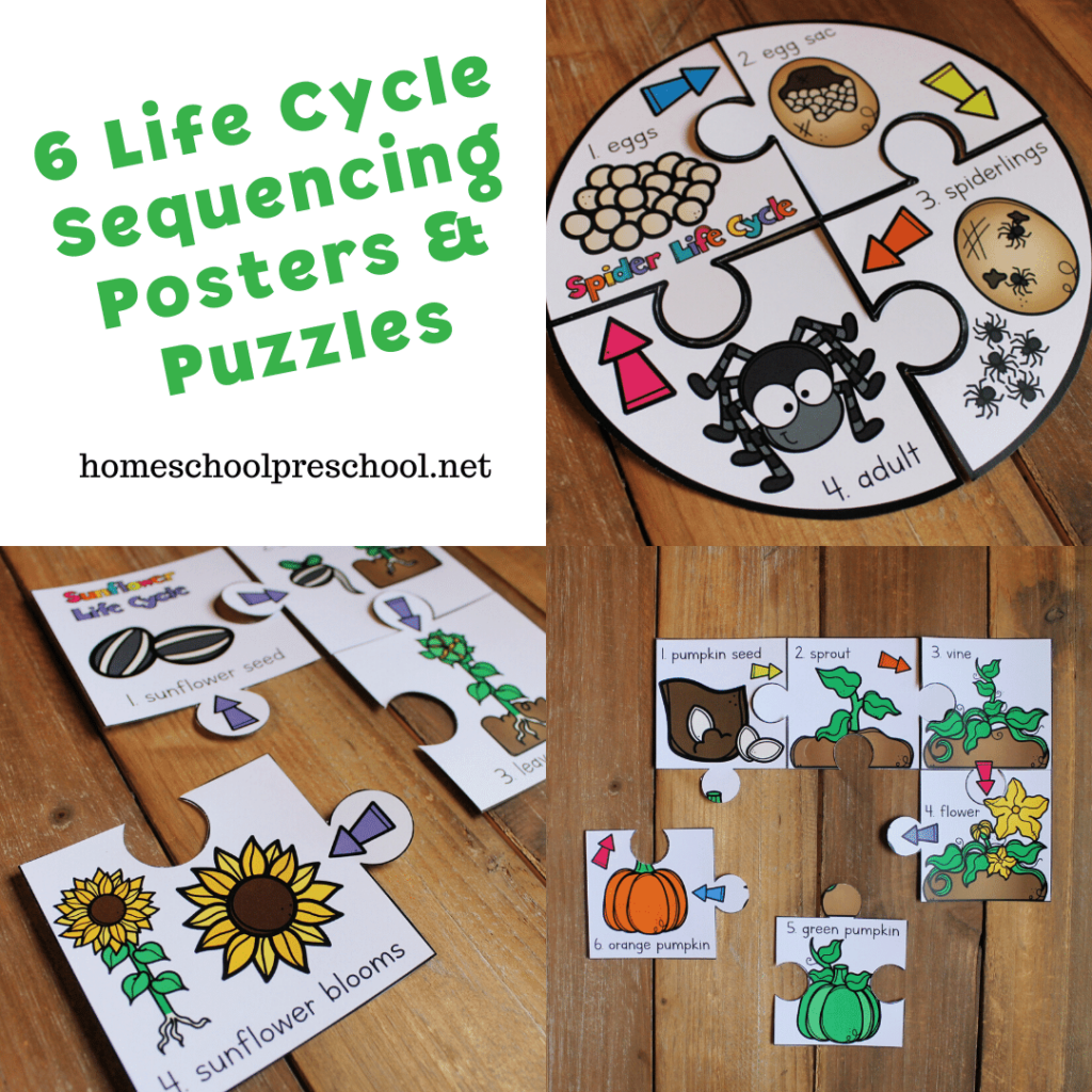 Life Cycle Sequencing Puzzles Bundle