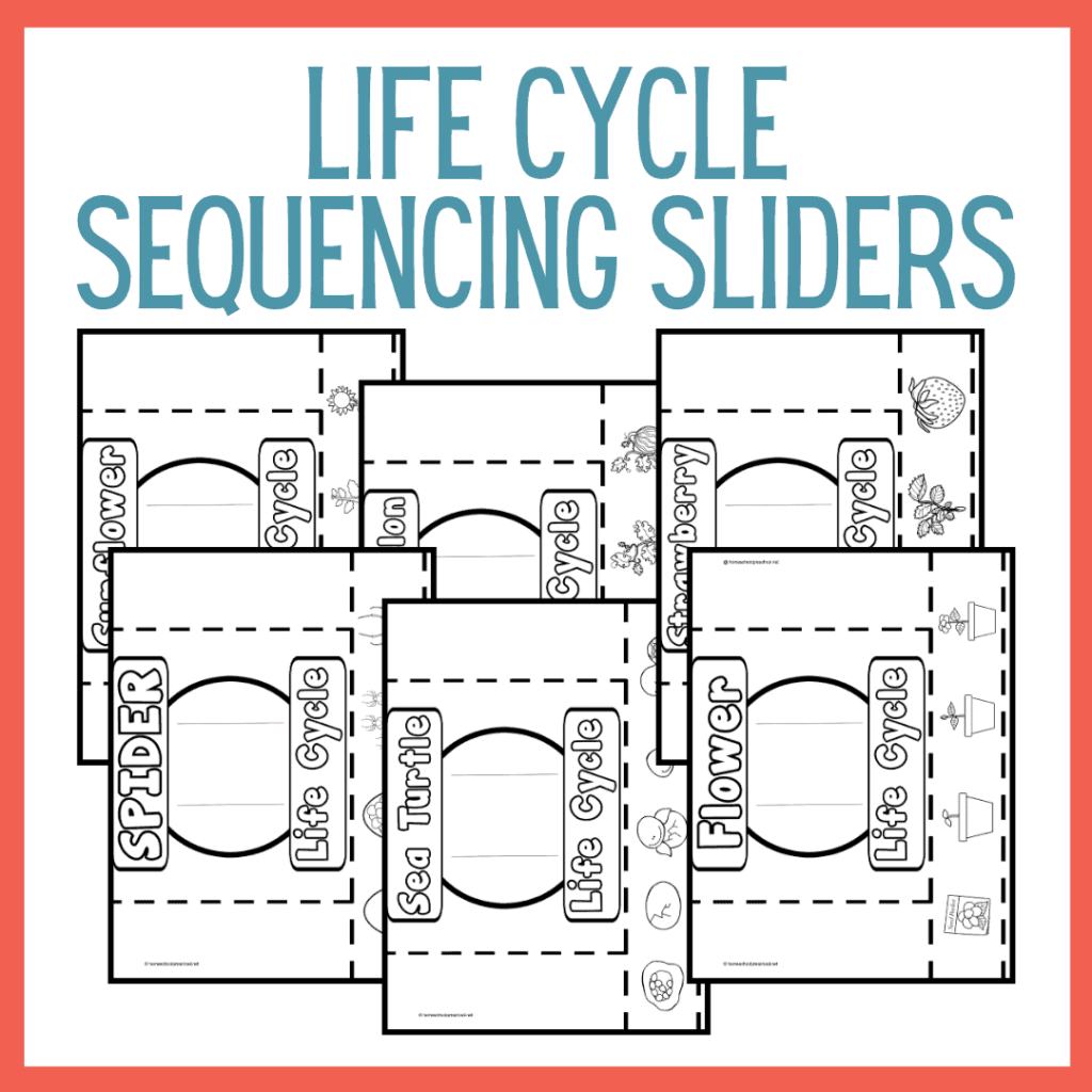 Life Cycle Sequencing Sliders