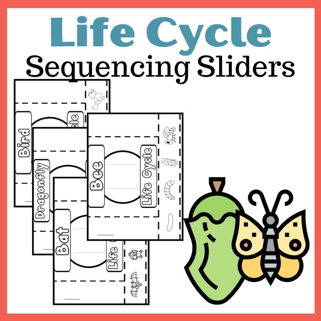 Life Cycle Sequencing Sliders