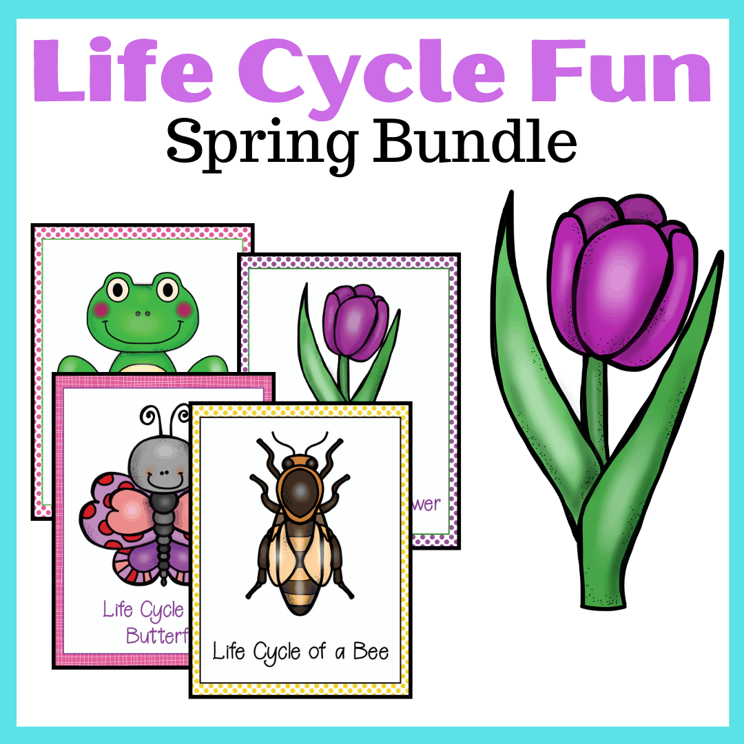 Spring Life Cycle Worksheets