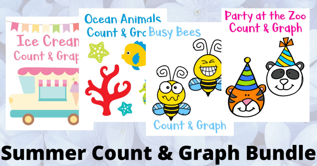 Summer Count and Graph Bundle