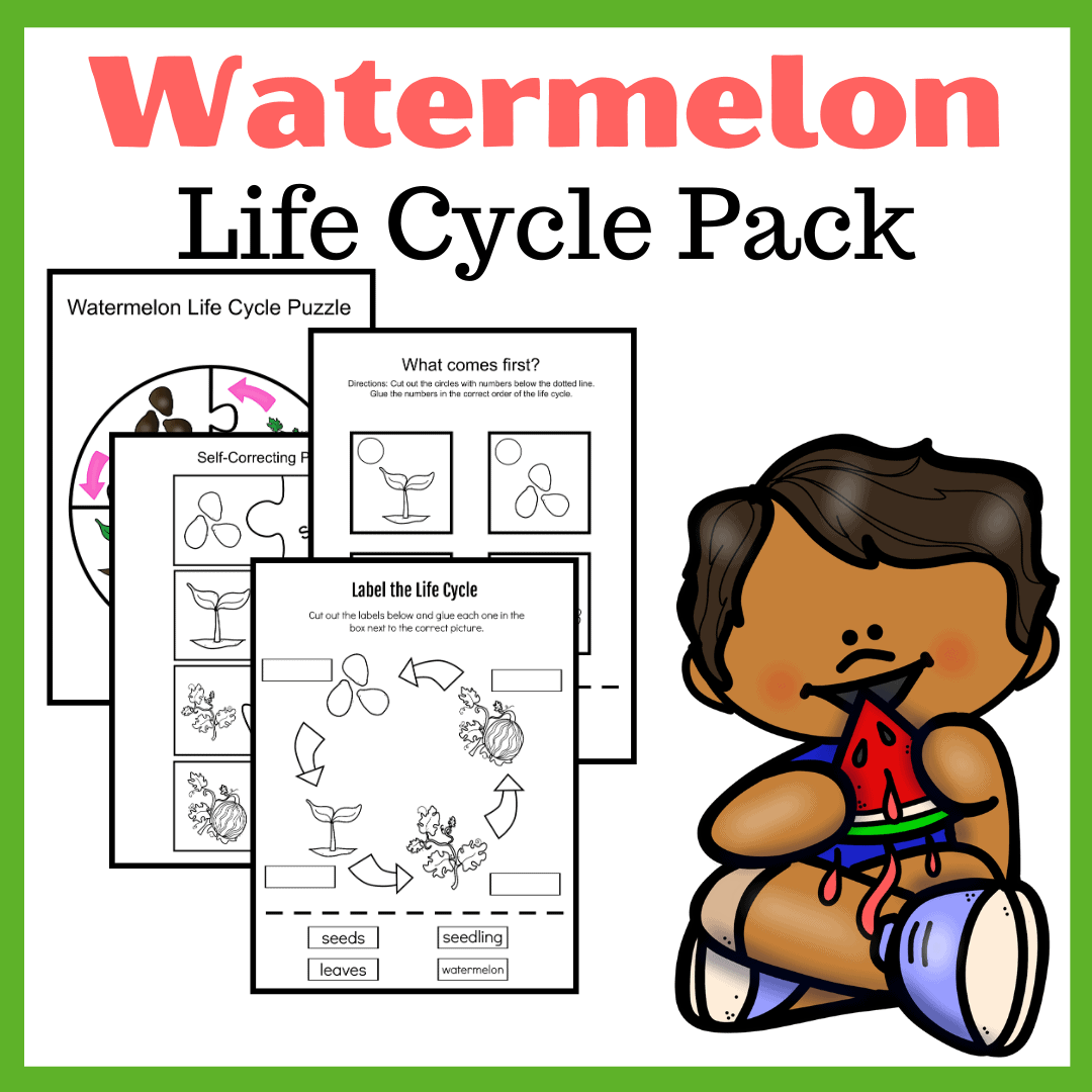 Life Cycle of a Watermelon