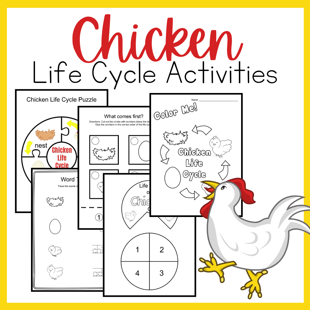 Chicken Life Cycle Cards Printable