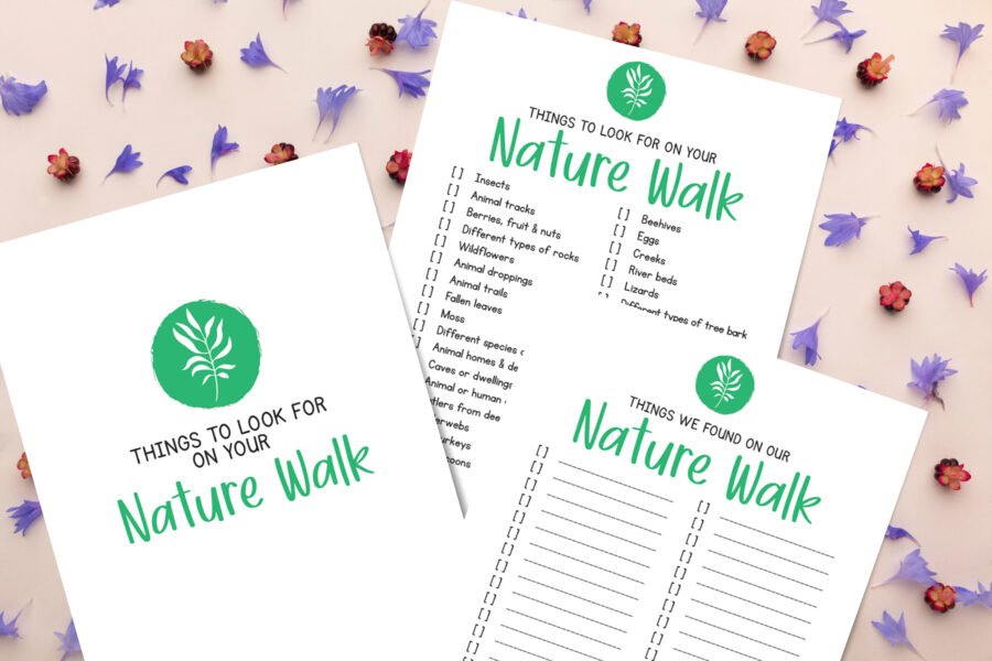 Things to Look for on Your Nature Walk – Homeschool Preschool Shop